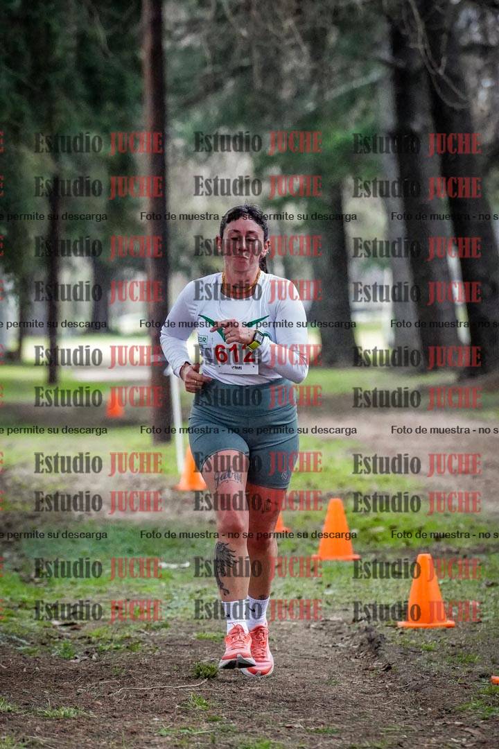 Fotos en el circuito