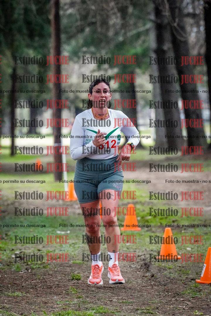 Fotos en el circuito