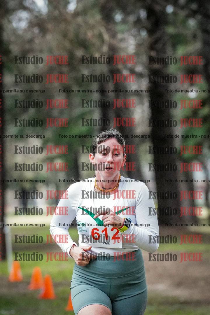 Fotos en el circuito
