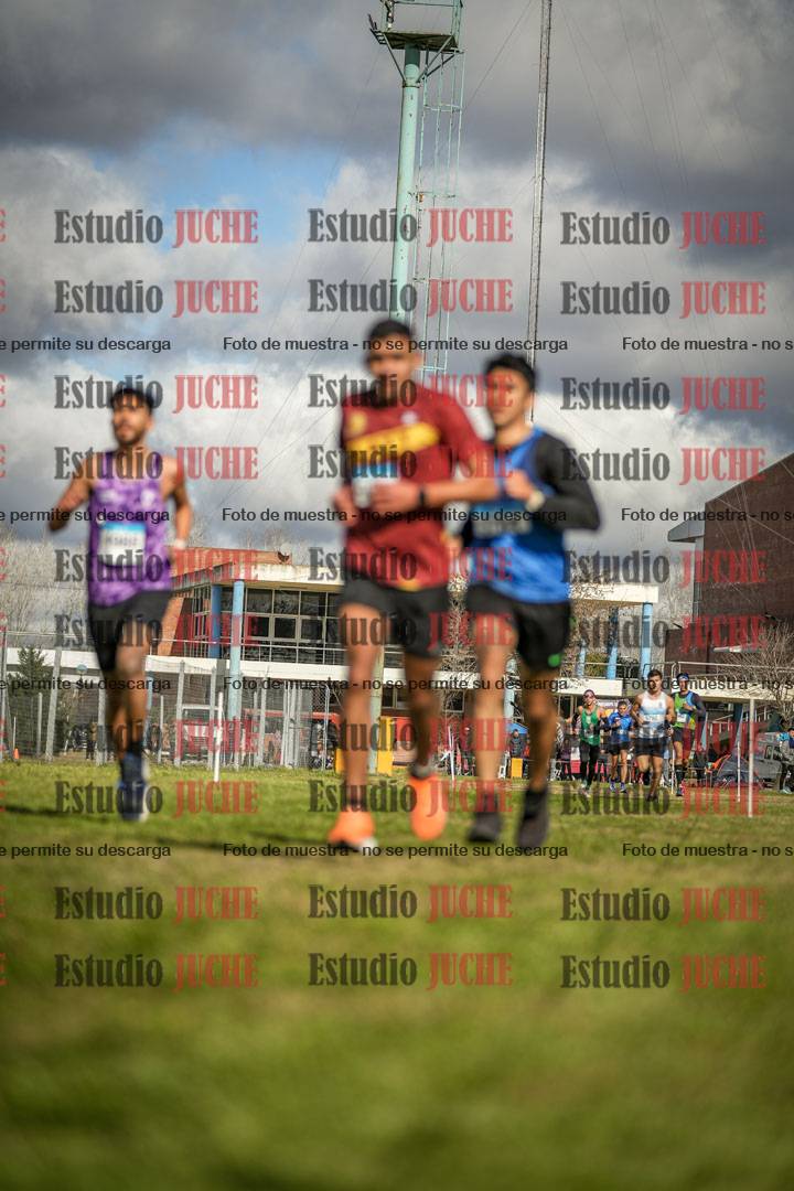 Fotos en el circuito
