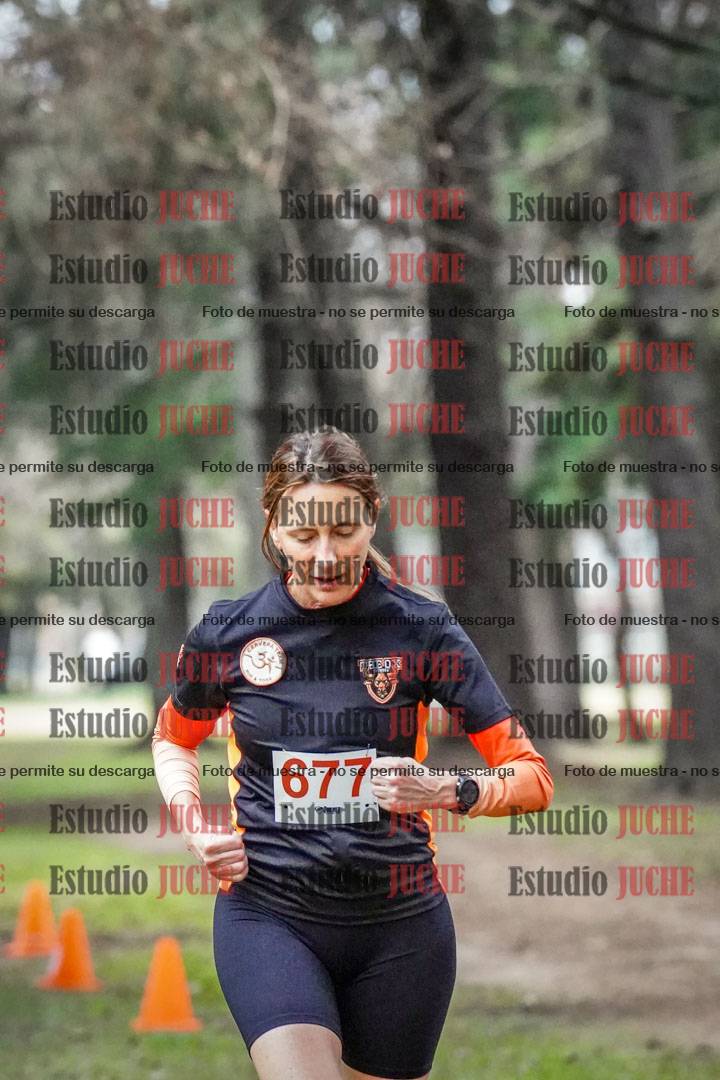 Fotos en el circuito