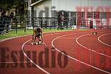 Fotos de las Postas 4x100 m de varones