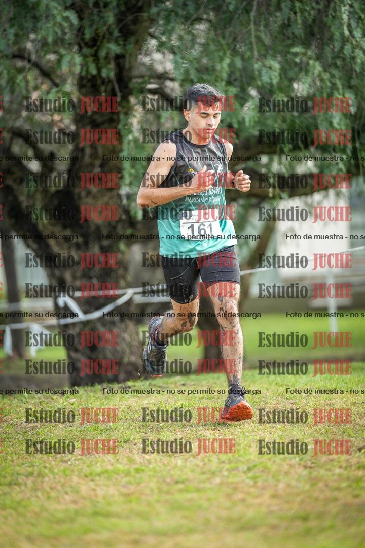Fotos en el circuito