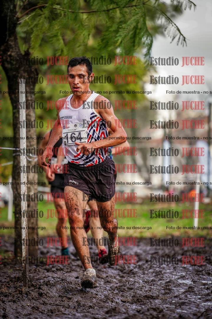 Fotos en el circuito