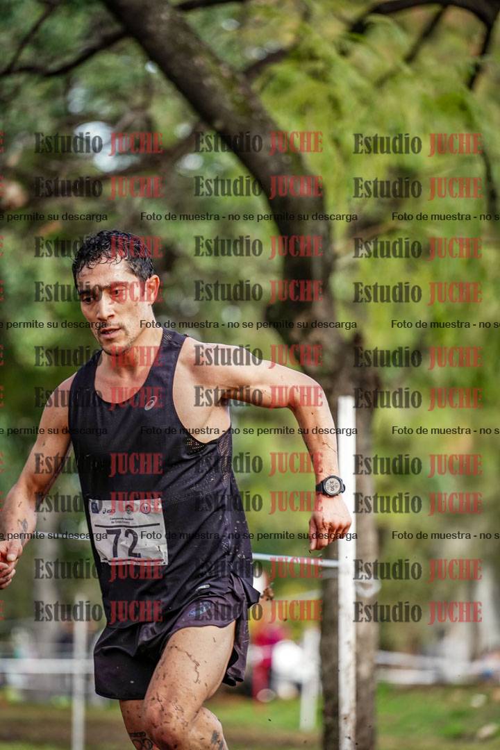 Fotos en el circuito
