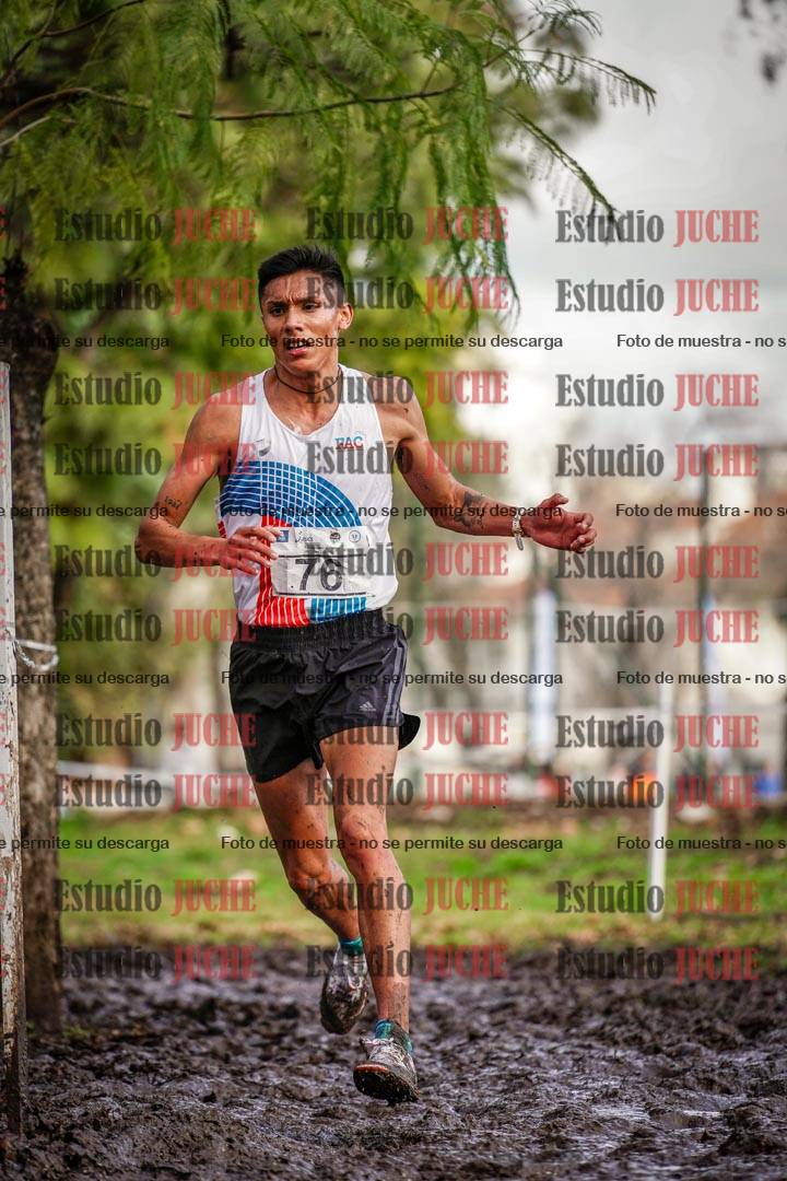 Fotos en el circuito