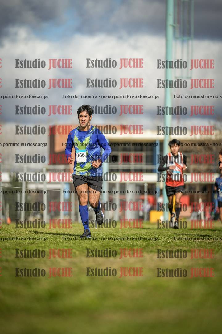 Fotos en el circuito