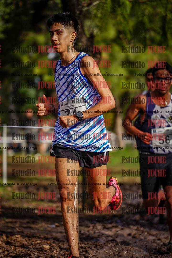 Fotos en el circuito