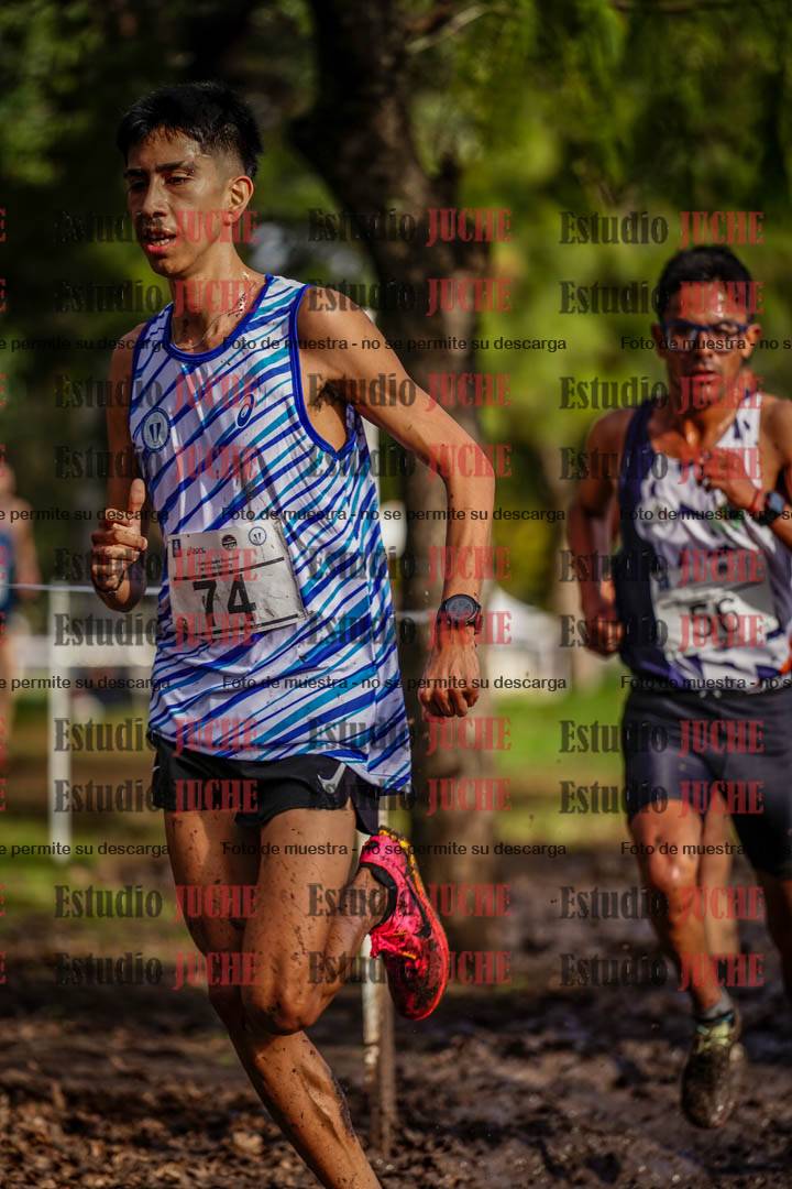 Fotos en el circuito