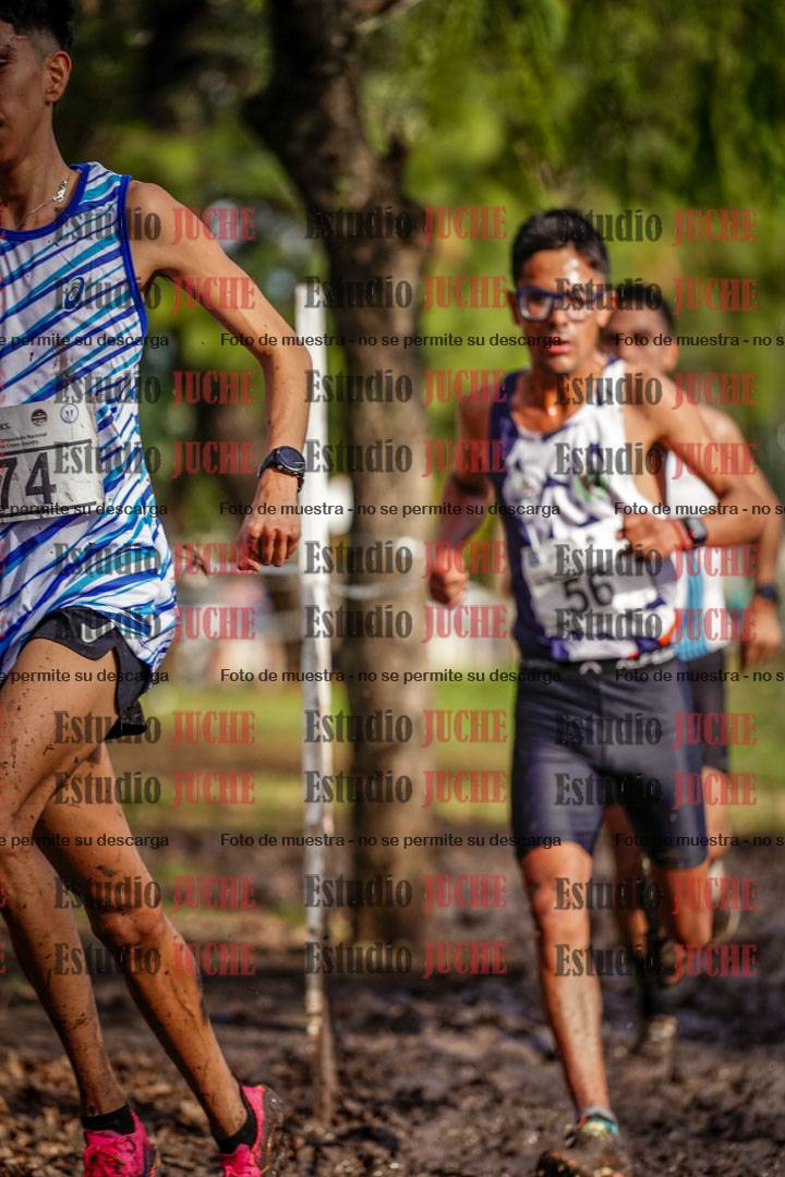 Fotos en el circuito