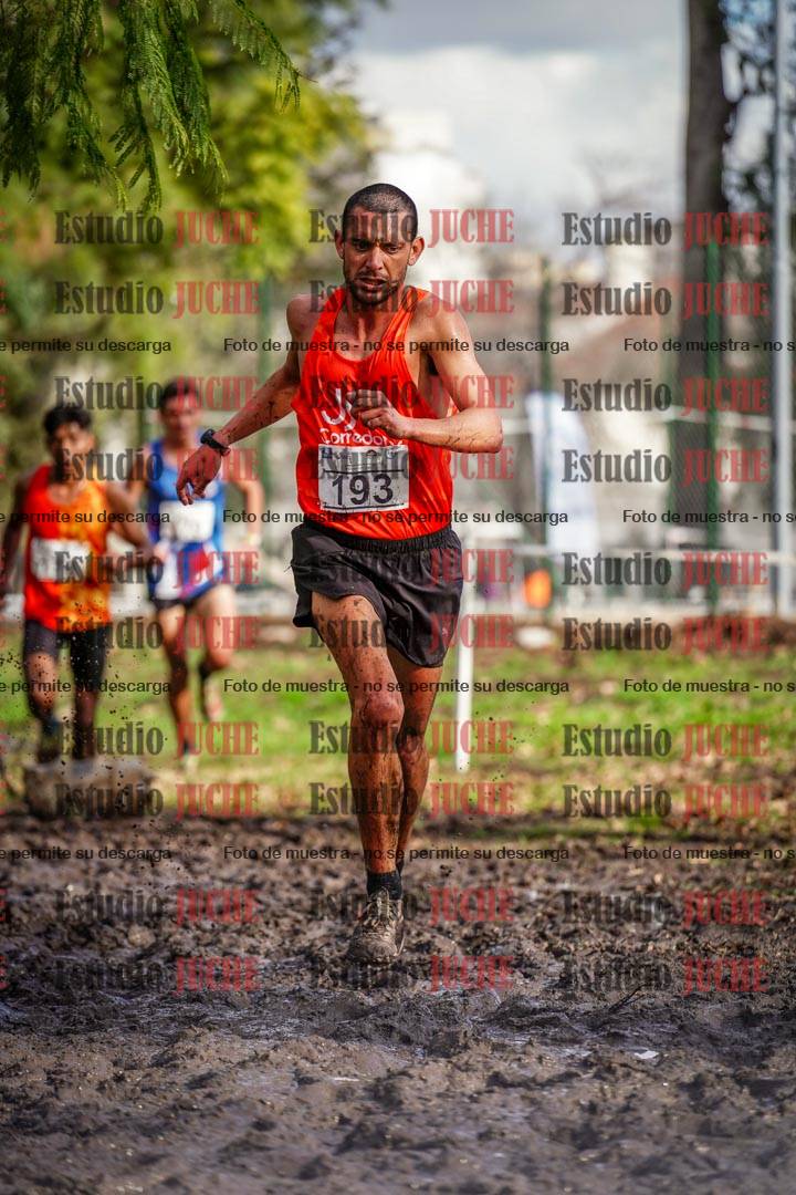 Fotos en el circuito