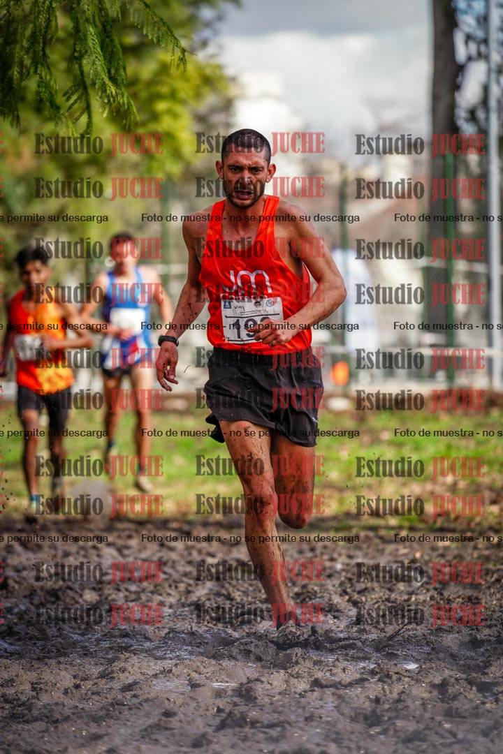 Fotos en el circuito
