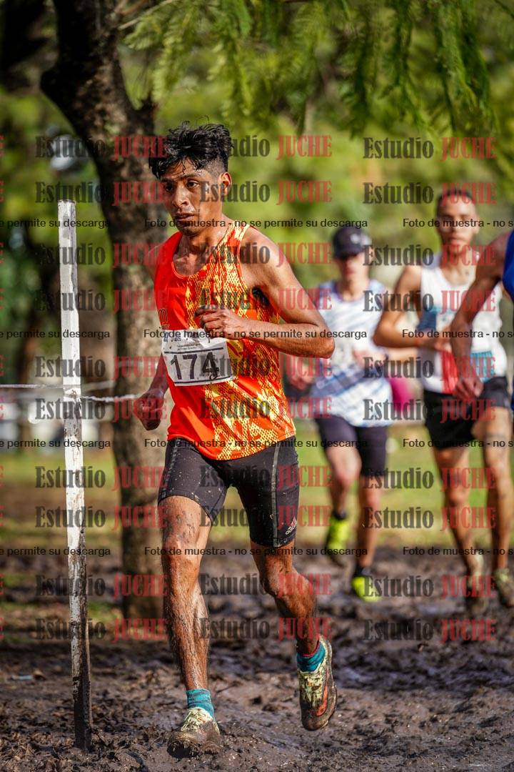 Fotos en el circuito