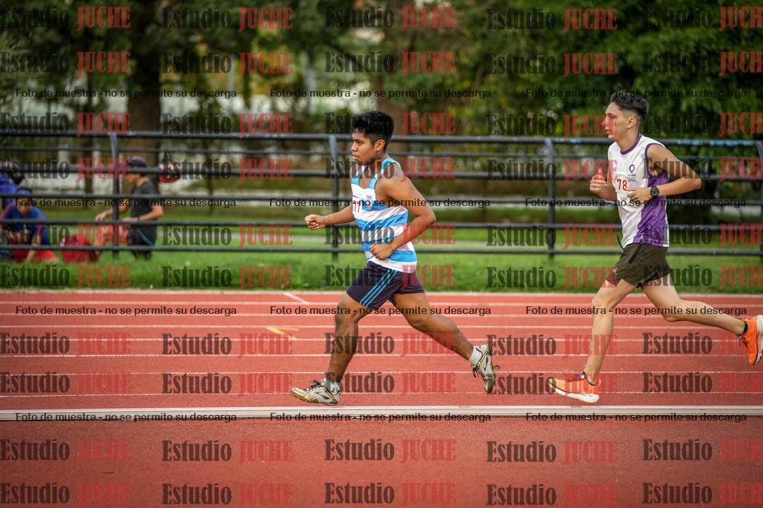 Fotos de los 5000 m llanos