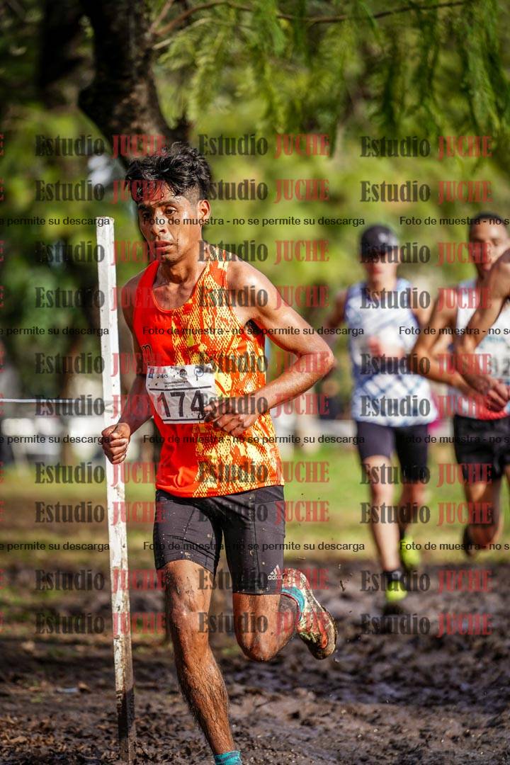 Fotos en el circuito