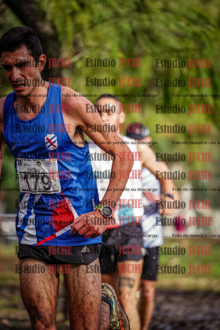 Fotos en el circuito