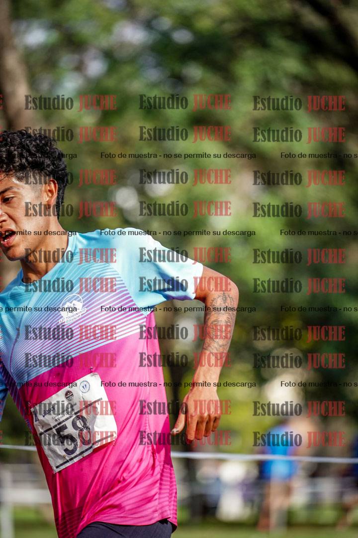 Fotos en el circuito