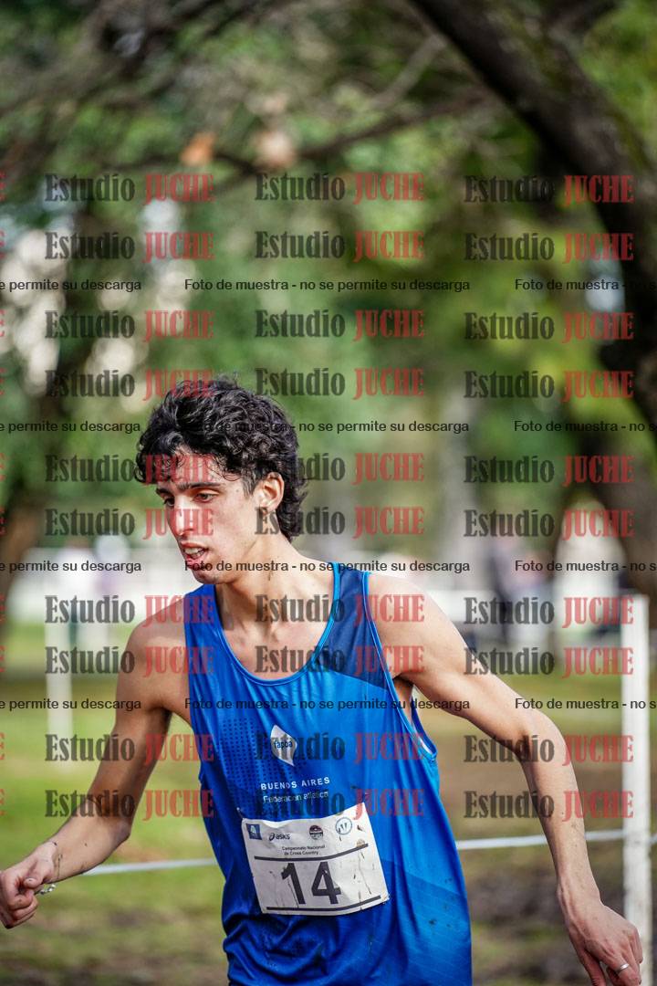 Fotos en el circuito