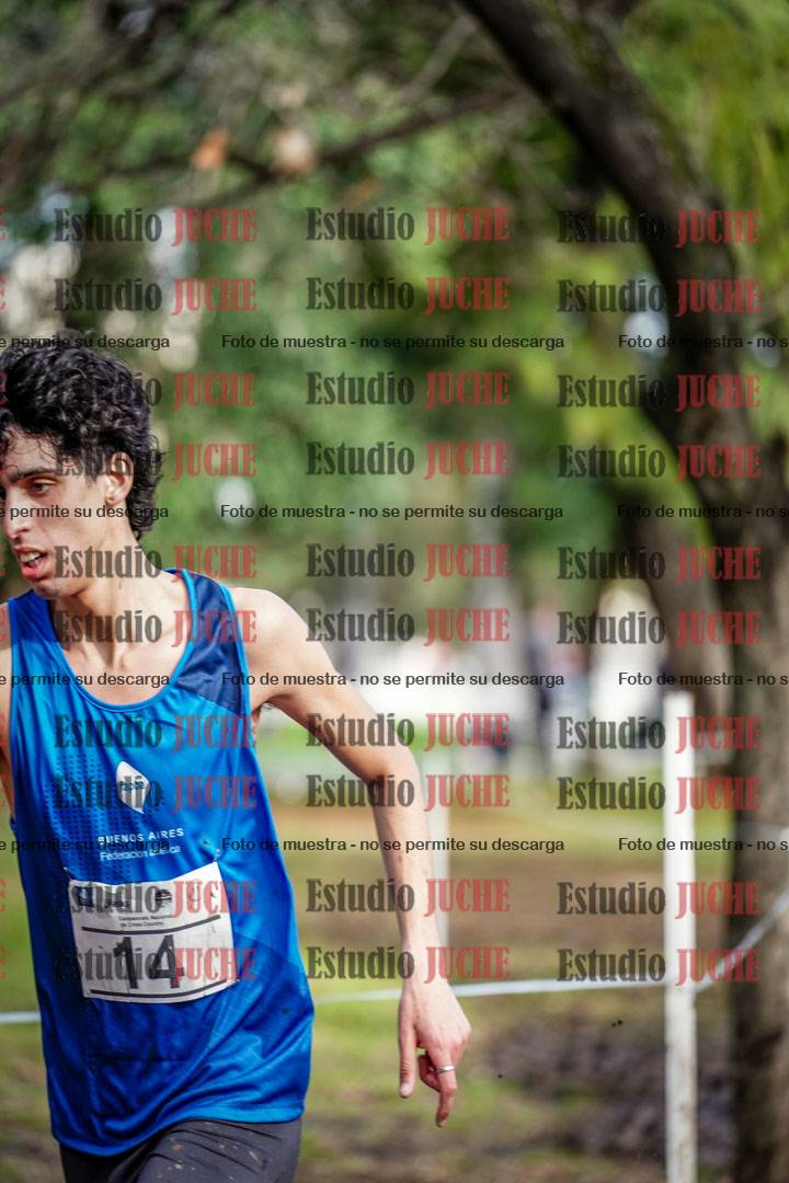 Fotos en el circuito