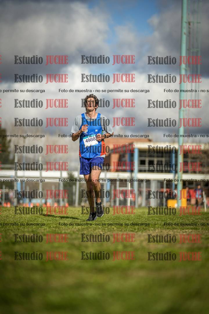 Fotos en el circuito