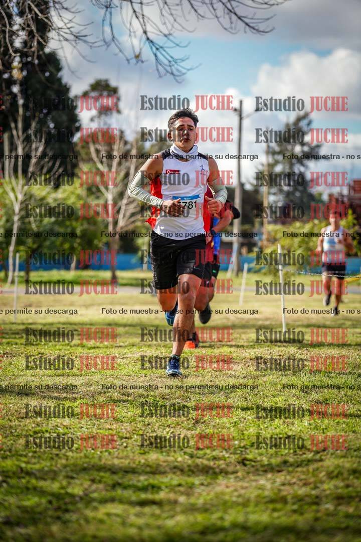 Fotos en el circuito