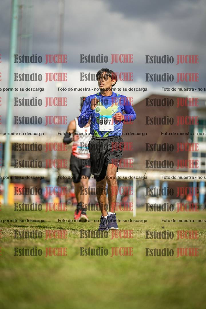 Fotos en el circuito