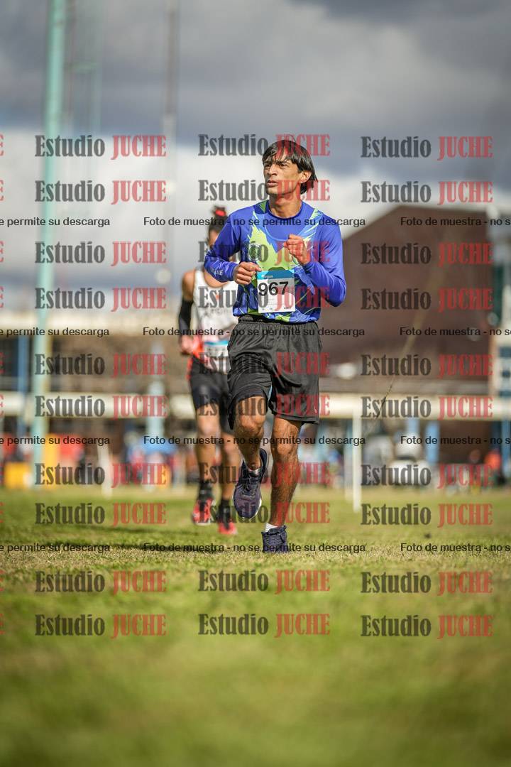 Fotos en el circuito