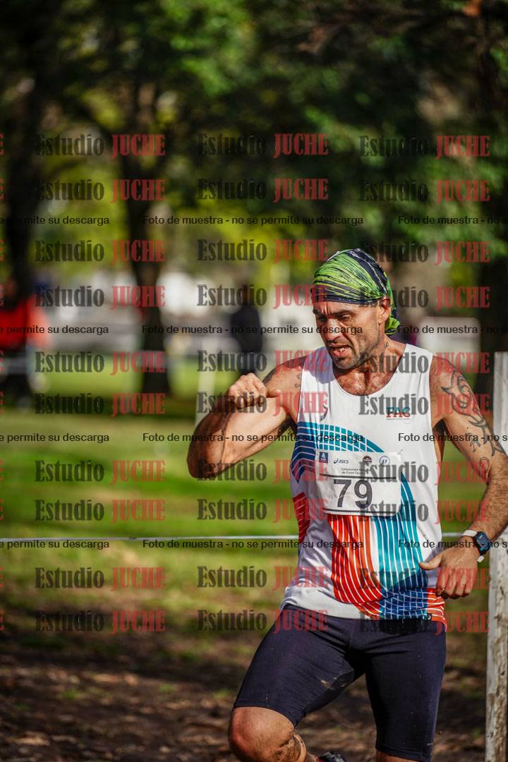 Fotos en el circuito
