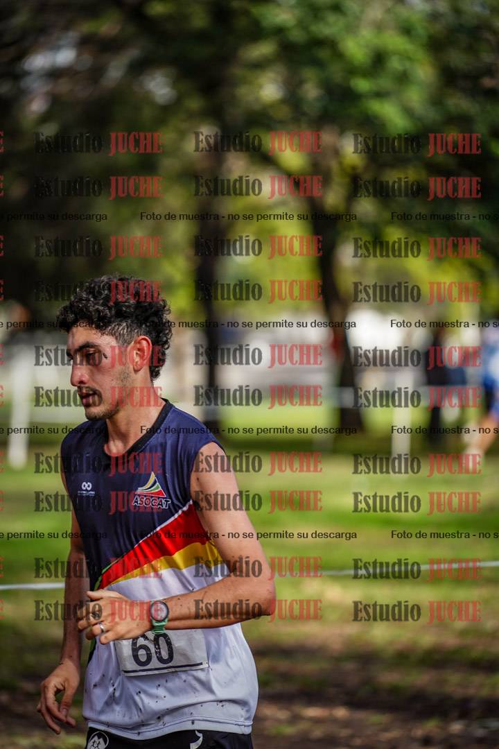 Fotos en el circuito