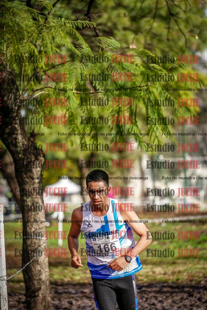 Fotos en el circuito