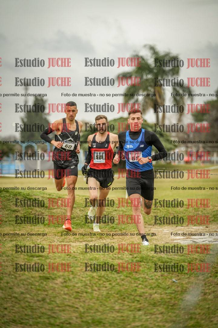 Fotos en el circuito