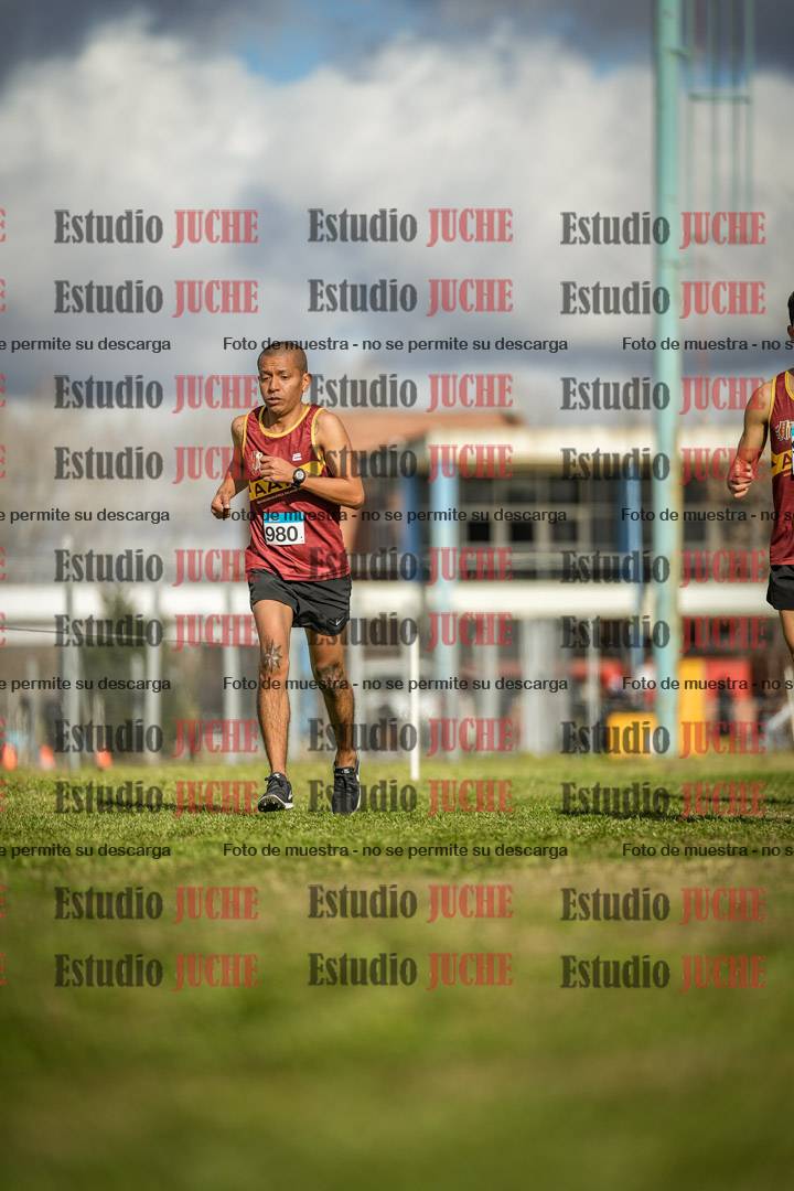 Fotos en el circuito