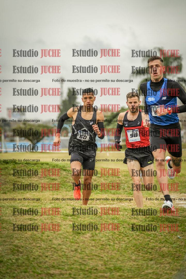 Fotos en el circuito