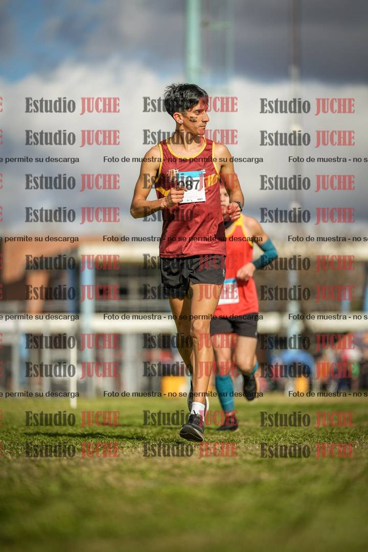 Fotos en el circuito