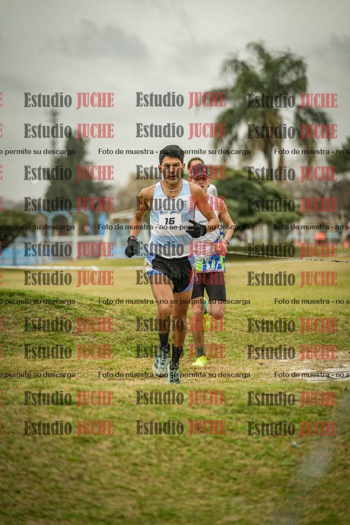Fotos en el circuito