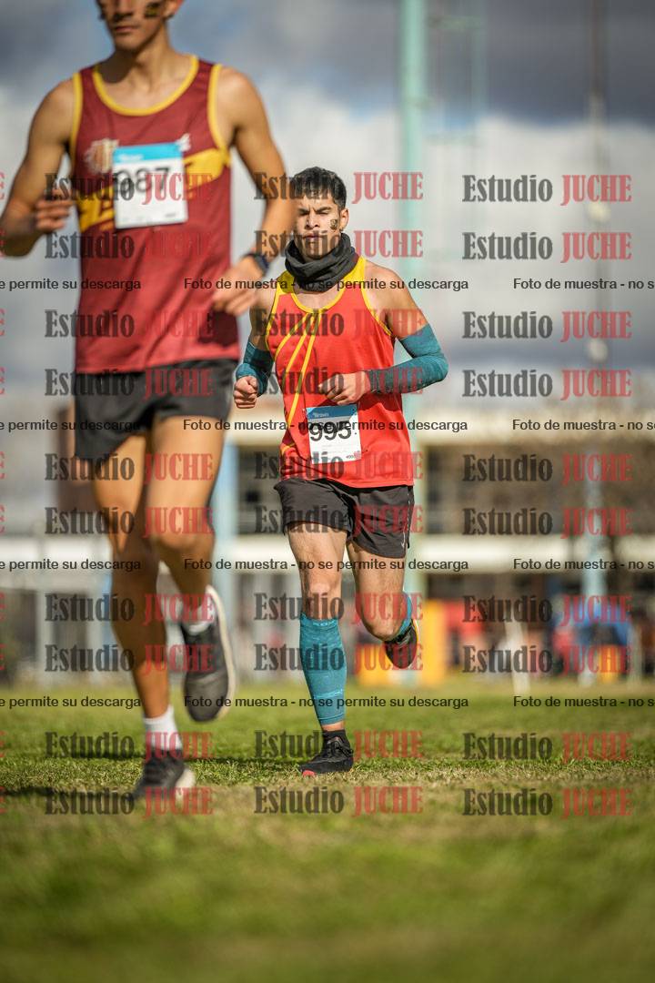 Fotos en el circuito