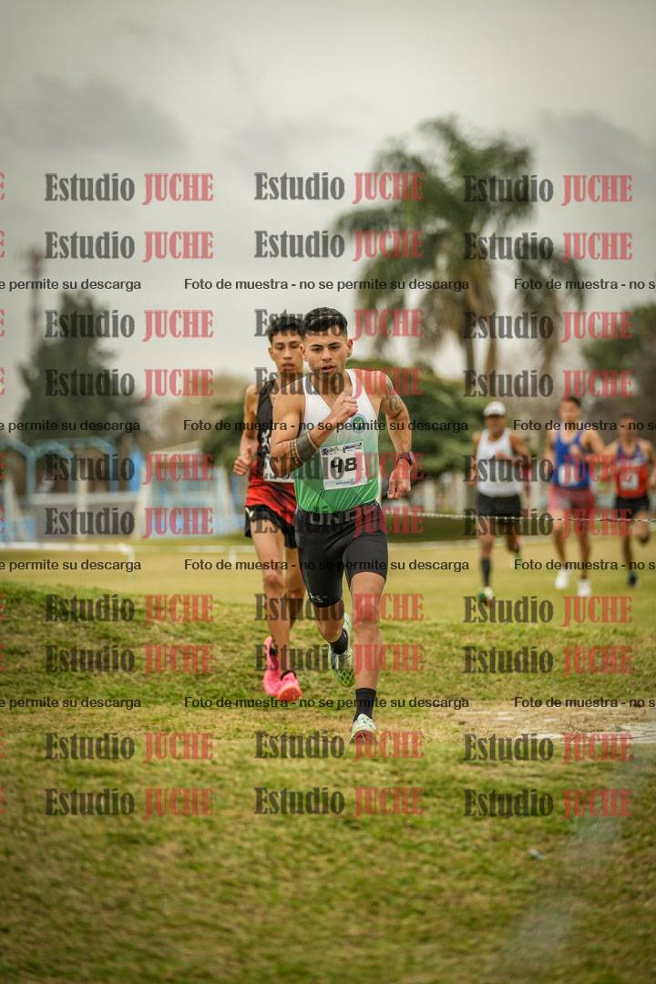 Fotos en el circuito