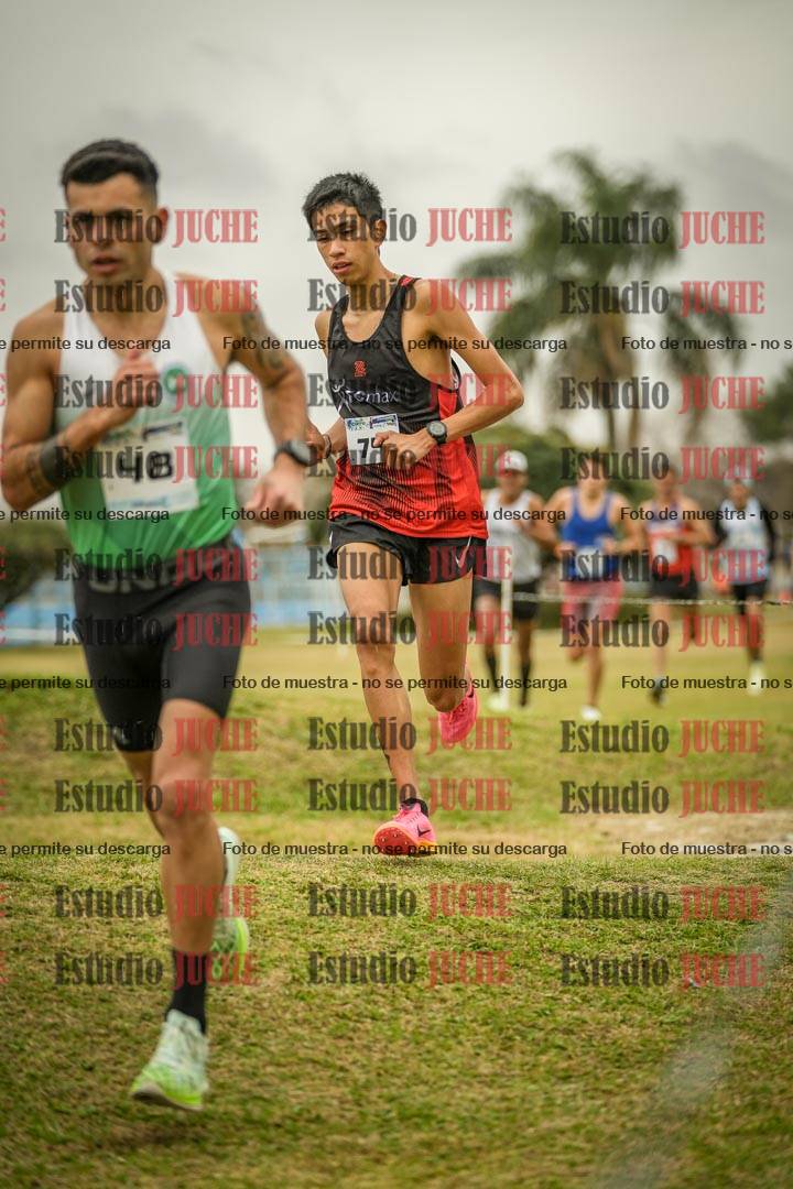 Fotos en el circuito