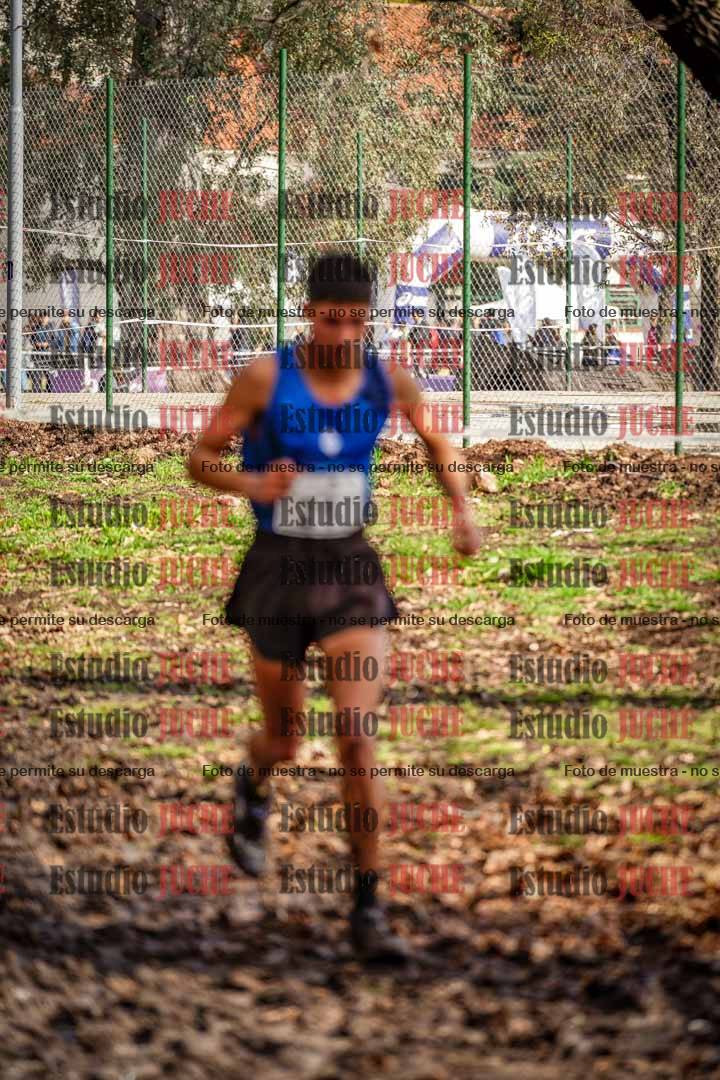Fotos en el circuito