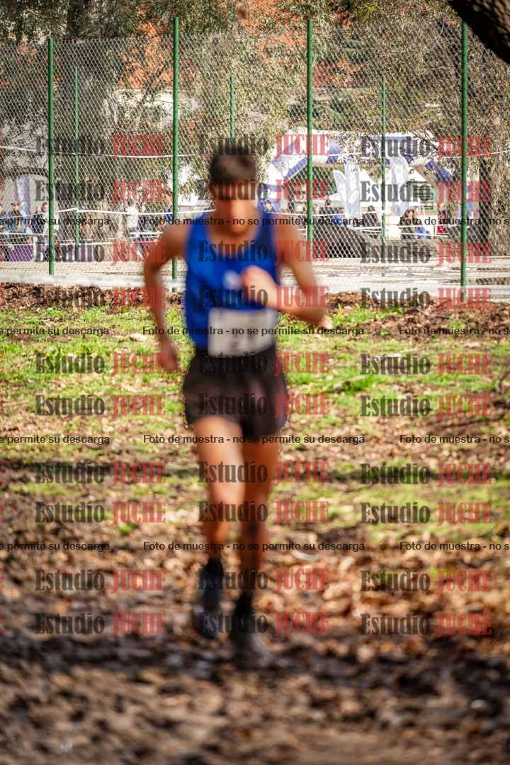 Fotos en el circuito