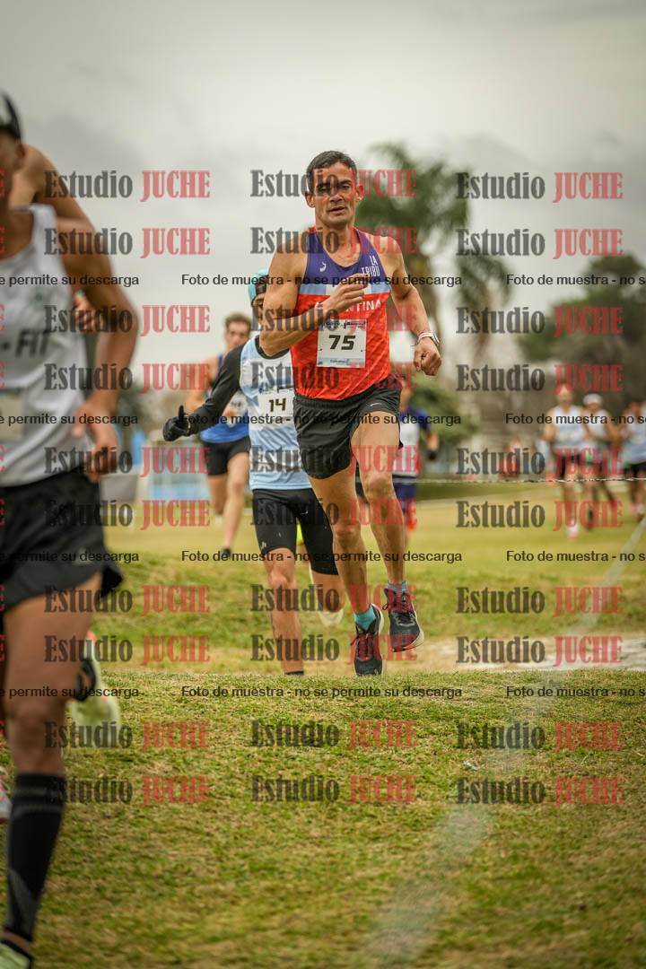 Fotos en el circuito