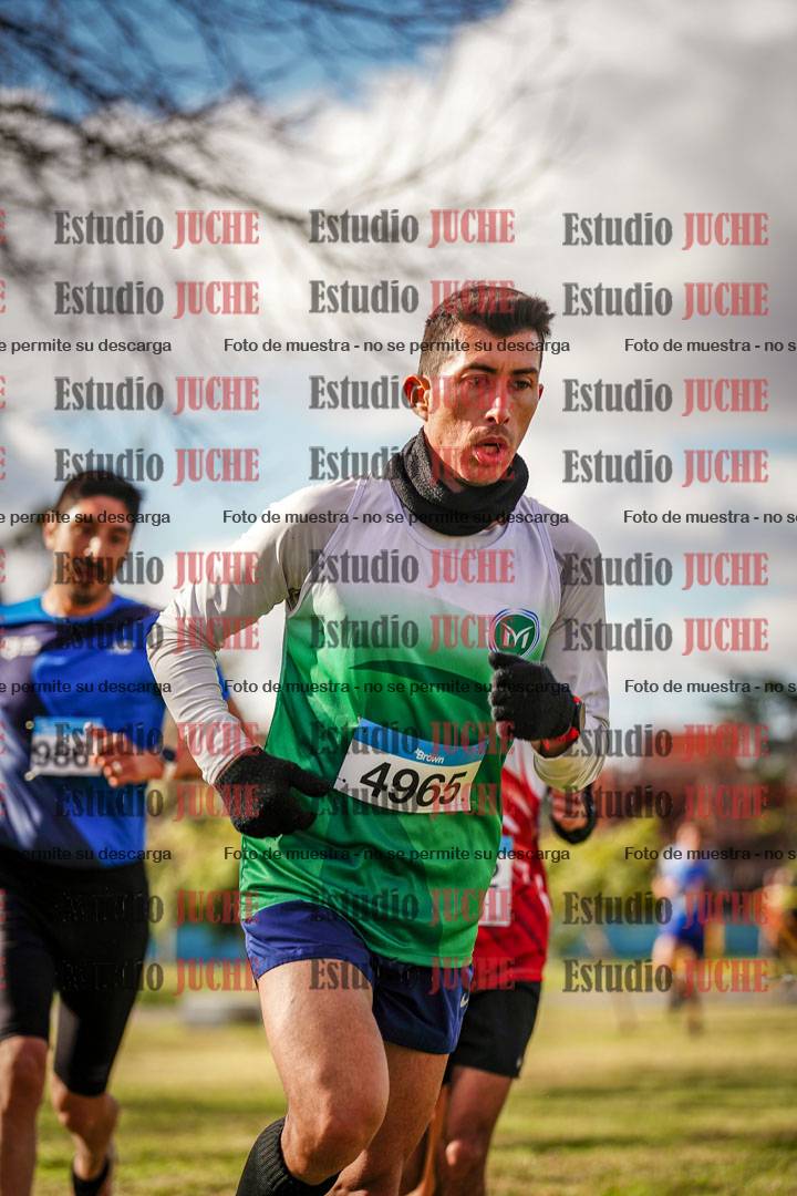 Fotos en el circuito