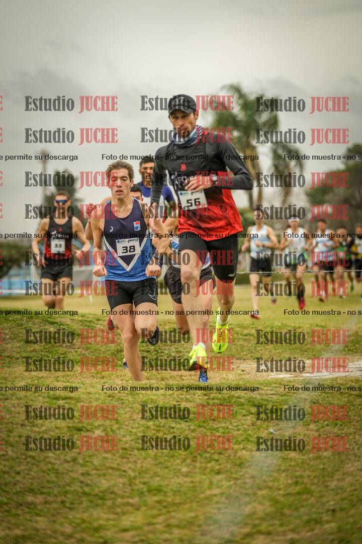 Fotos en el circuito