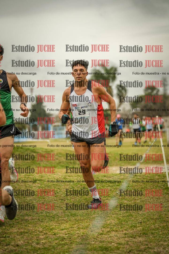 Fotos en el circuito