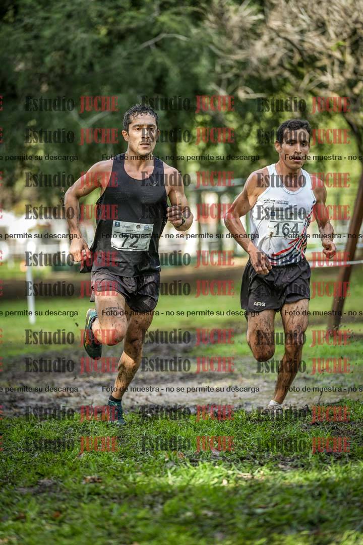 Fotos en el circuito