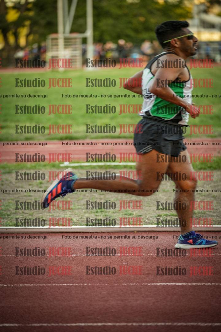 Fotos de los 3000 m llanos de varones