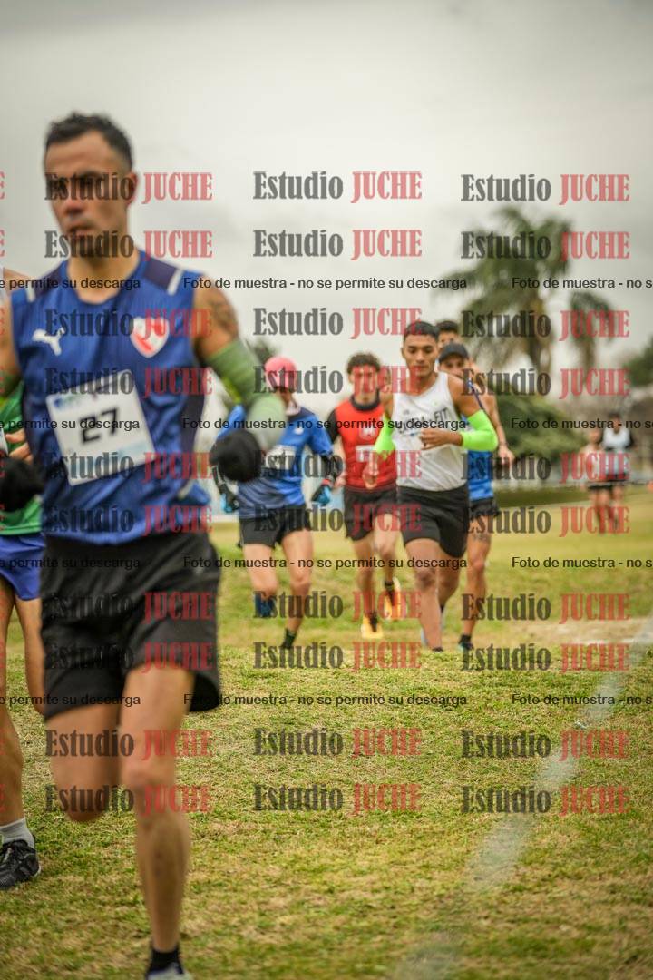 Fotos en el circuito