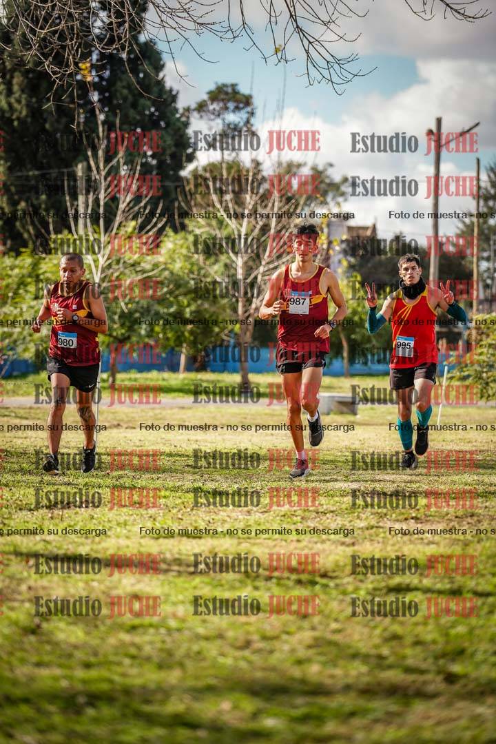 Fotos en el circuito