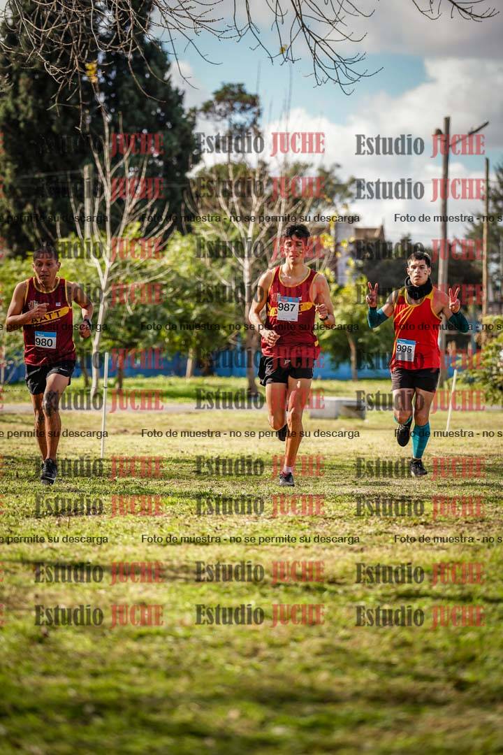 Fotos en el circuito