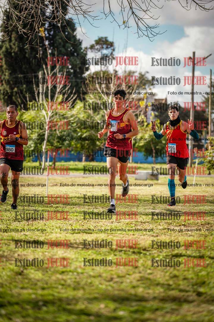 Fotos en el circuito